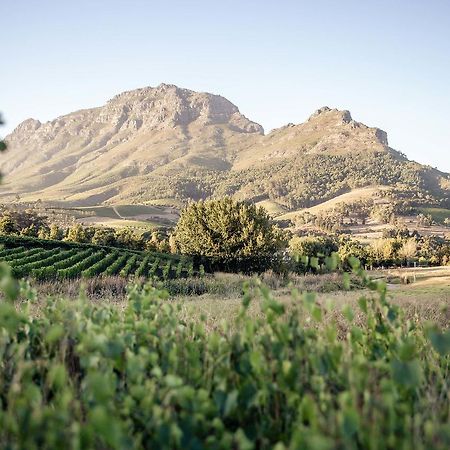 Le Pommier Wine Estate Villa Stellenbosch Buitenkant foto