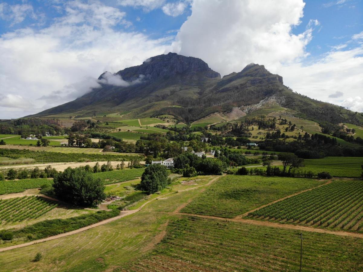 Le Pommier Wine Estate Villa Stellenbosch Buitenkant foto