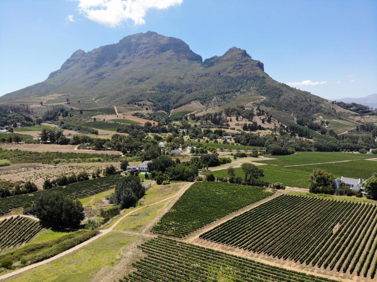 Le Pommier Wine Estate Villa Stellenbosch Buitenkant foto