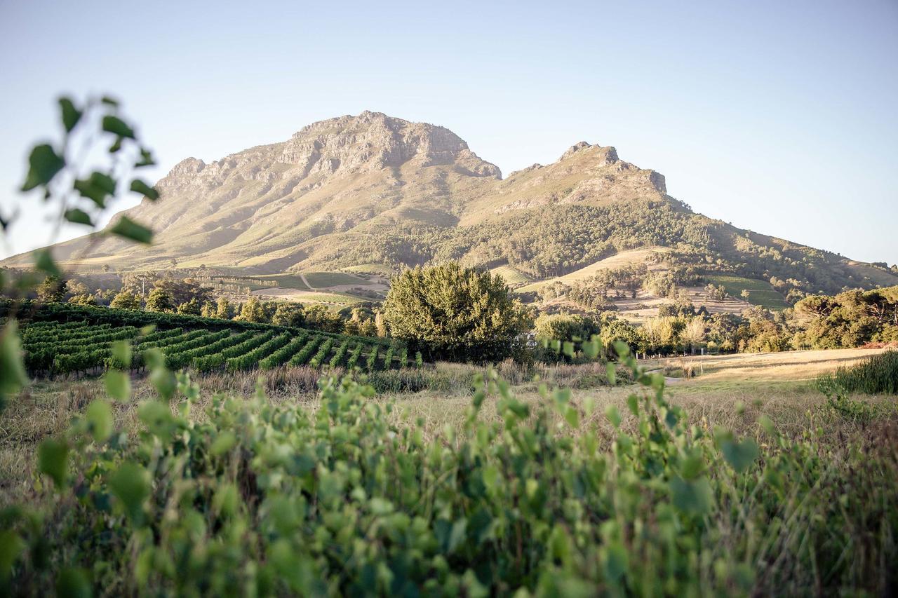 Le Pommier Wine Estate Villa Stellenbosch Buitenkant foto