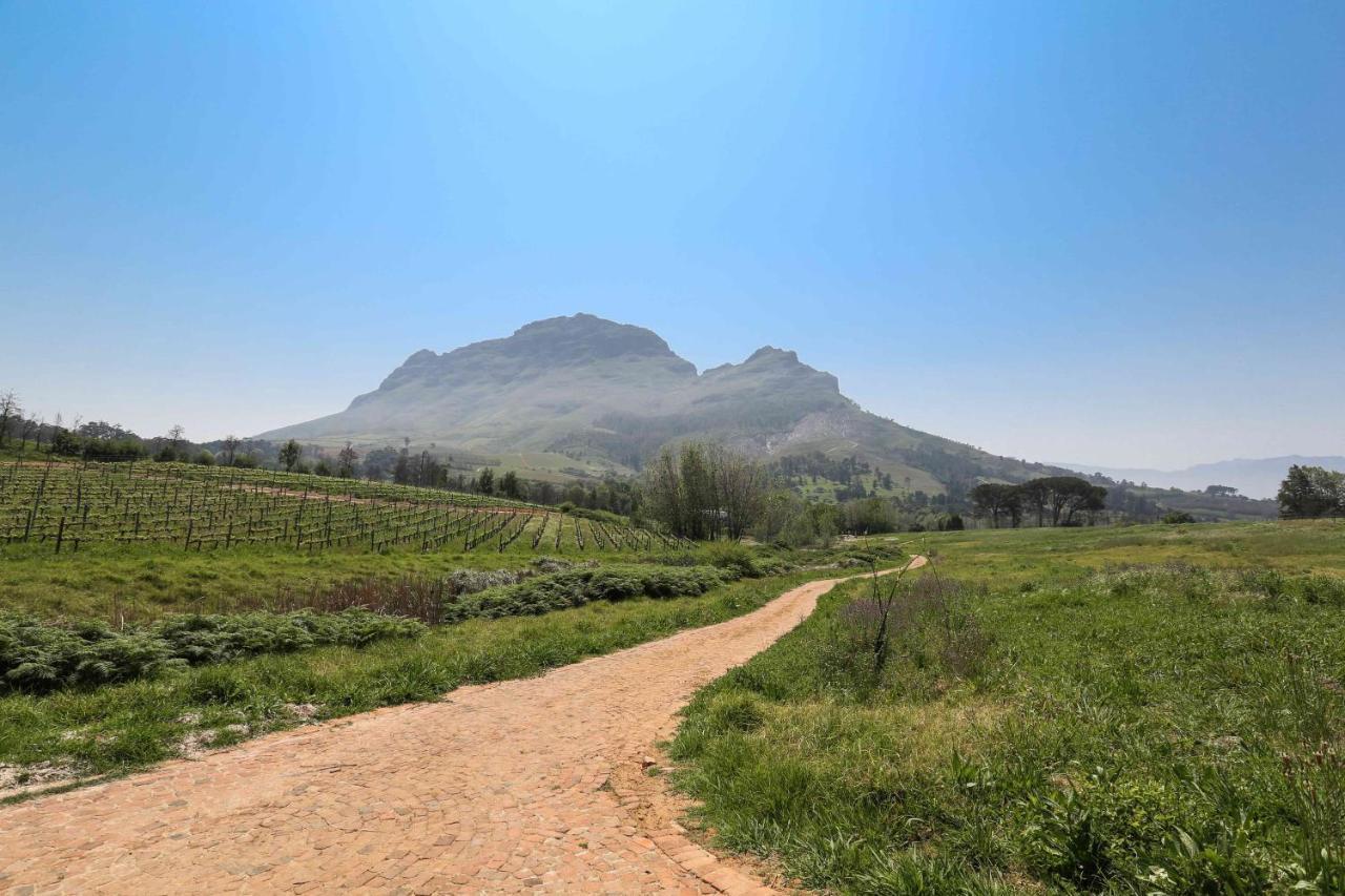 Le Pommier Wine Estate Villa Stellenbosch Buitenkant foto